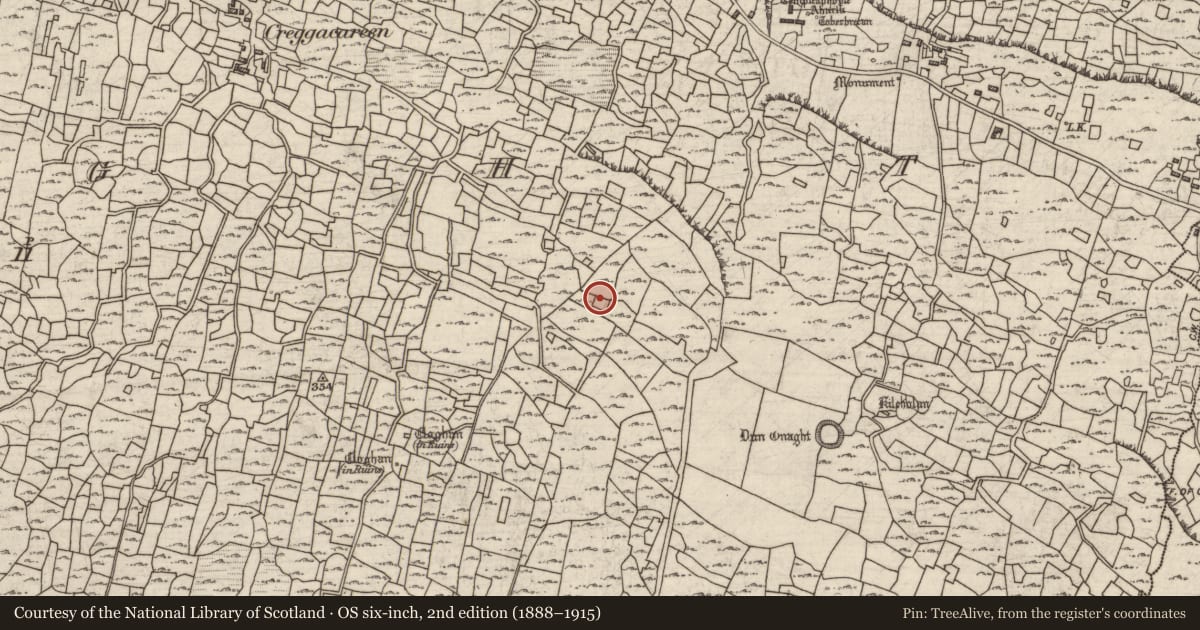 Ordnance Survey six-inch map, 2nd edition (1888–1915) covering the location of Clochan, Eoghanacht, County Galway, with a pin at the register's coordinates