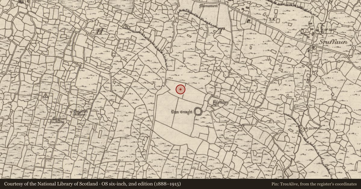 Ordnance Survey six-inch map, 2nd edition (1888–1915) covering the location of Mound, Eoghanacht, County Galway, with a pin at the register's coordinates