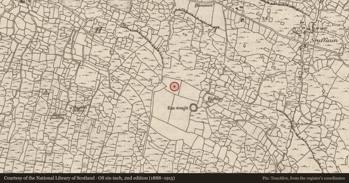 Ordnance Survey six-inch map, 2nd edition (1888–1915) covering the location of House - indeterminate date, Eoghanacht, County Galway, with a pin at the register's coordinates