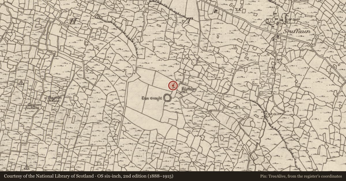 Ordnance Survey six-inch map, 2nd edition (1888–1915) covering the location of House - indeterminate date, Eoghanacht, County Galway, with a pin at the register's coordinates