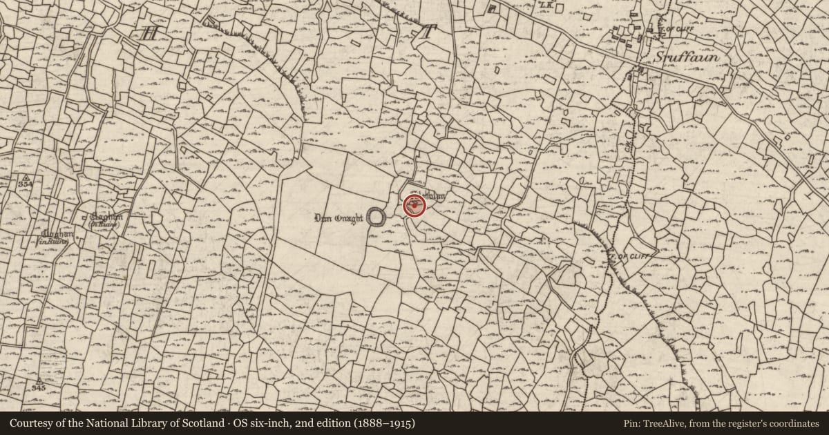 Ordnance Survey six-inch map, 2nd edition (1888–1915) covering the location of Shrine, Eoghanacht, County Galway, with a pin at the register's coordinates
