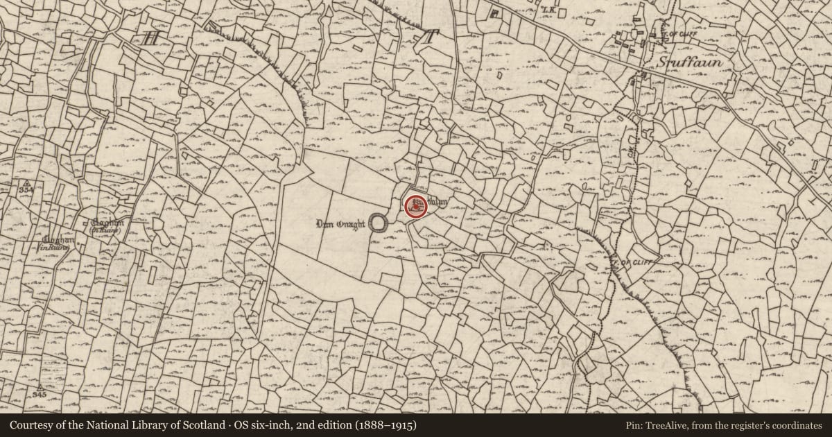 Ordnance Survey six-inch map, 2nd edition (1888–1915) covering the location of Structure, Eoghanacht, County Galway, with a pin at the register's coordinates