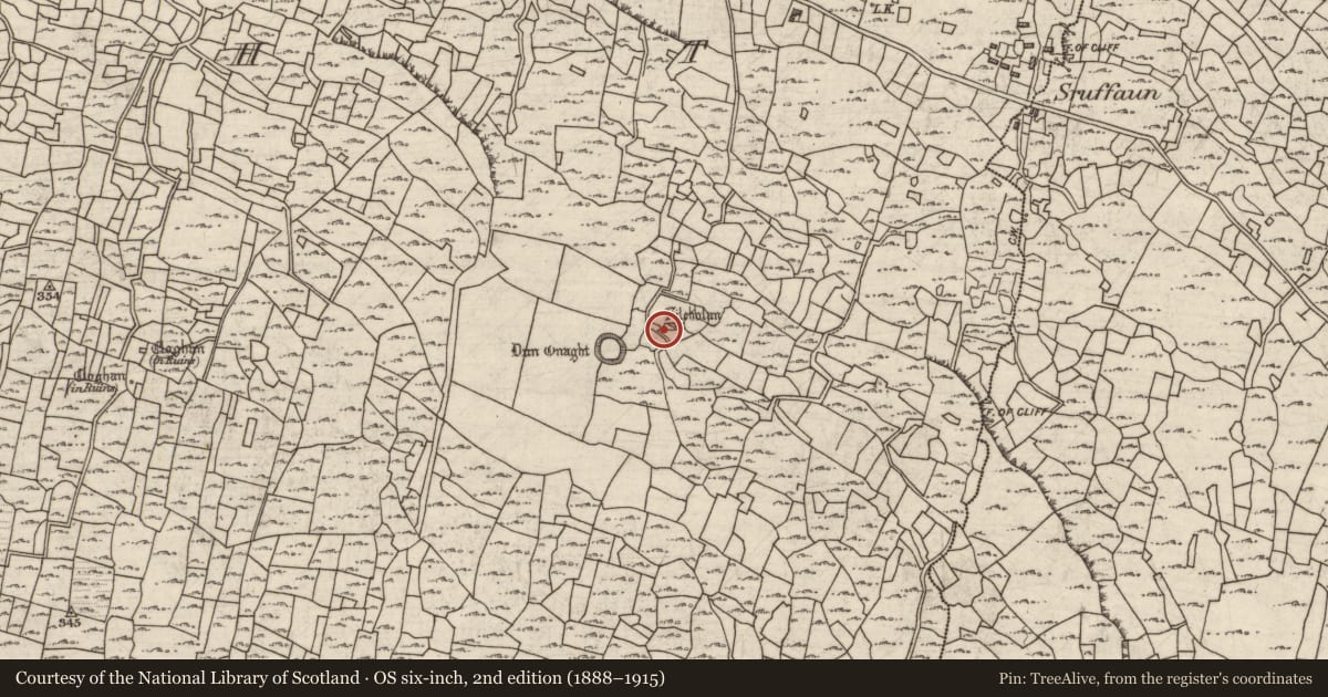 Ordnance Survey six-inch map, 2nd edition (1888–1915) covering the location of Structure, Eoghanacht, County Galway, with a pin at the register's coordinates