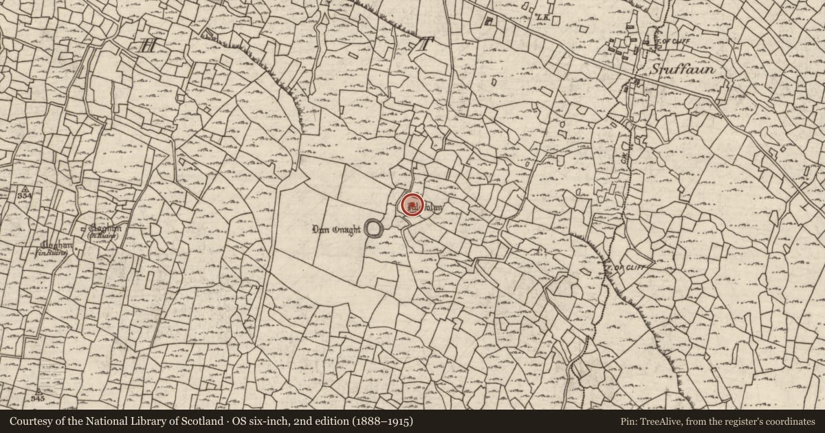 Ordnance Survey six-inch map, 2nd edition (1888–1915) covering the location of Clochan, Eoghanacht, County Galway, with a pin at the register's coordinates
