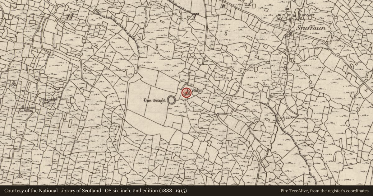 Ordnance Survey six-inch map, 2nd edition (1888–1915) covering the location of Clochan, Eoghanacht, County Galway, with a pin at the register's coordinates