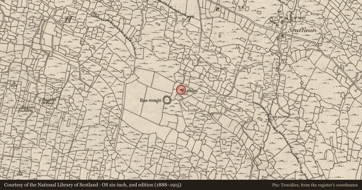 Ordnance Survey six-inch map, 2nd edition (1888–1915) covering the location of Clochan, Eoghanacht, County Galway, with a pin at the register's coordinates