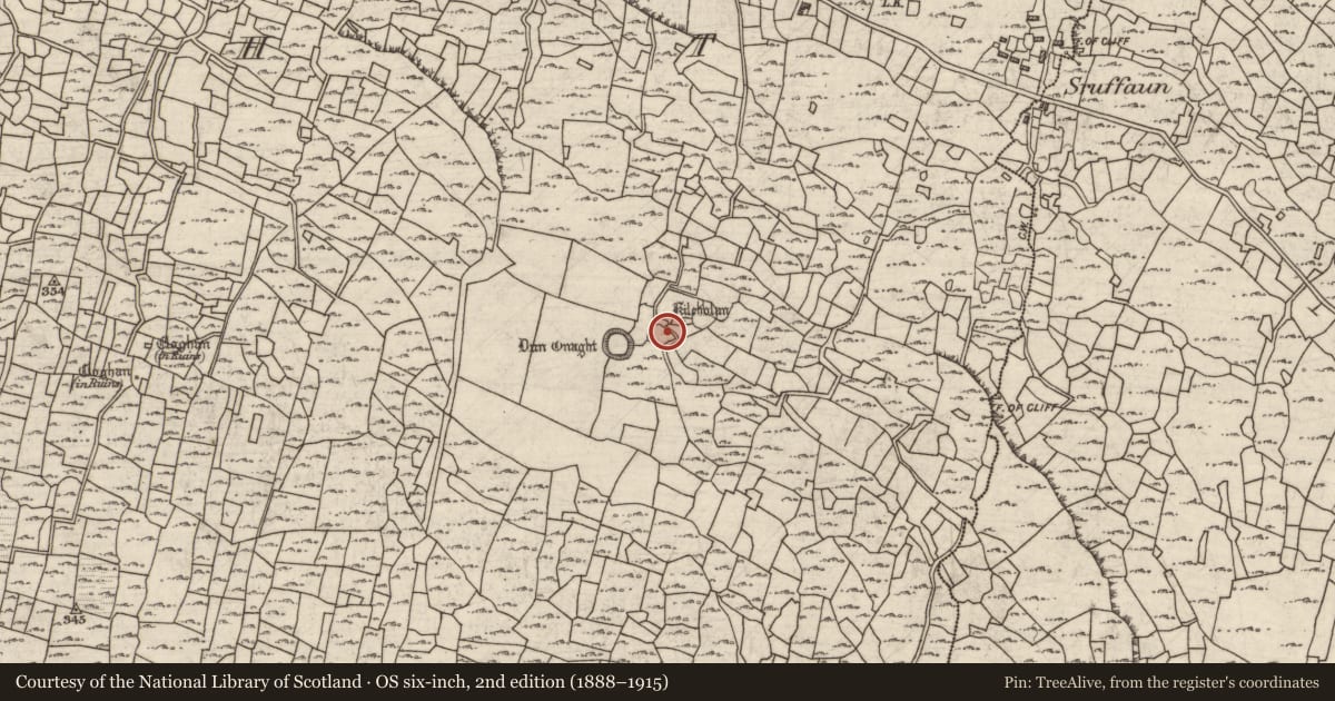 Ordnance Survey six-inch map, 2nd edition (1888–1915) covering the location of Structure, Eoghanacht, County Galway, with a pin at the register's coordinates