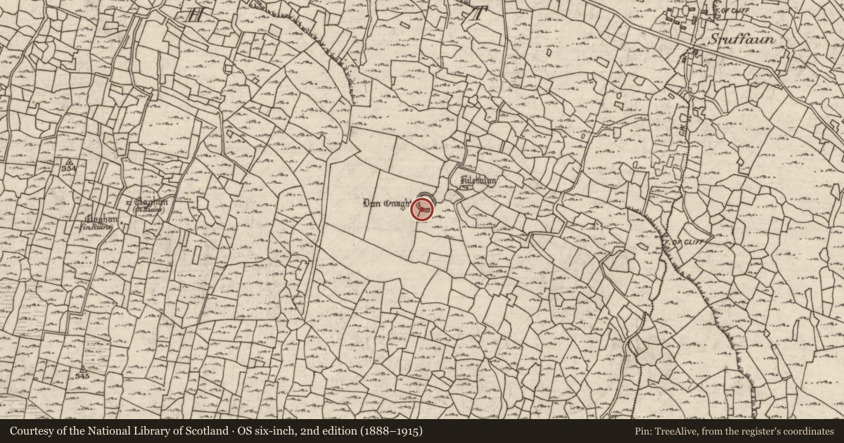 Ordnance Survey six-inch map, 2nd edition (1888–1915) covering the location of Ringfort - cashel, Eoghanacht, County Galway, with a pin at the register's coordinates