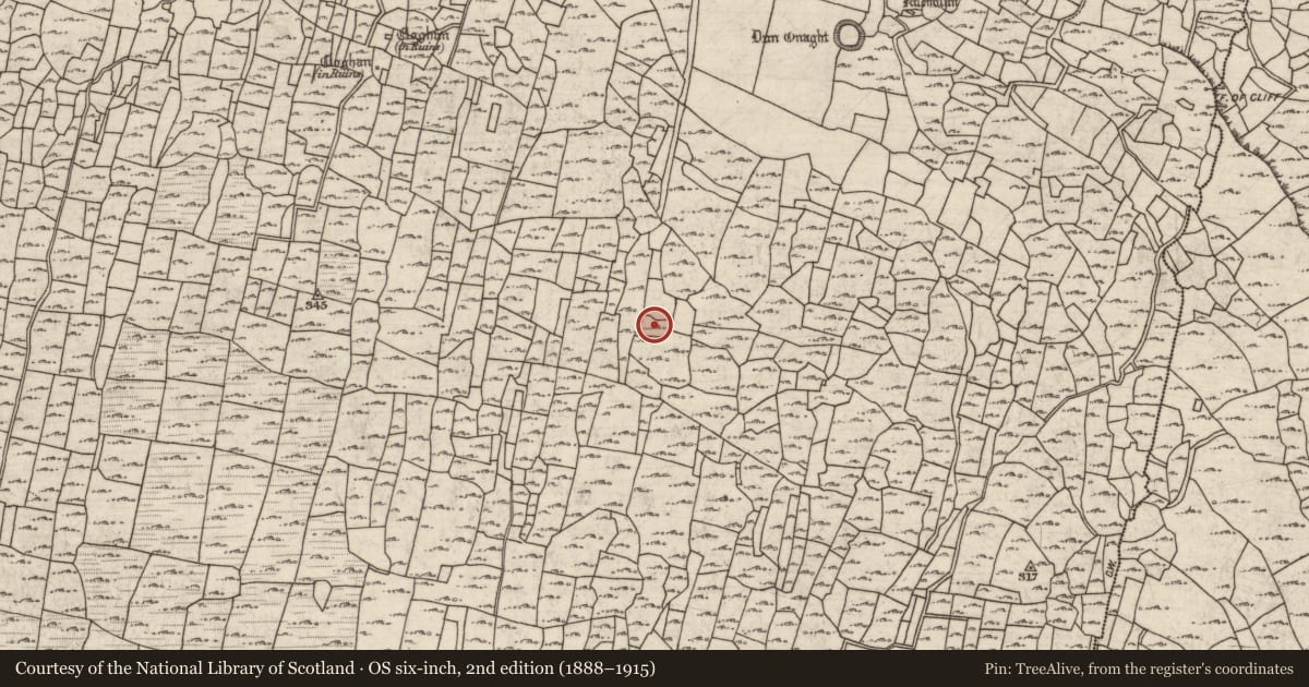 Ordnance Survey six-inch map, 2nd edition (1888–1915) covering the location of Mound, Eoghanacht, County Galway, with a pin at the register's coordinates