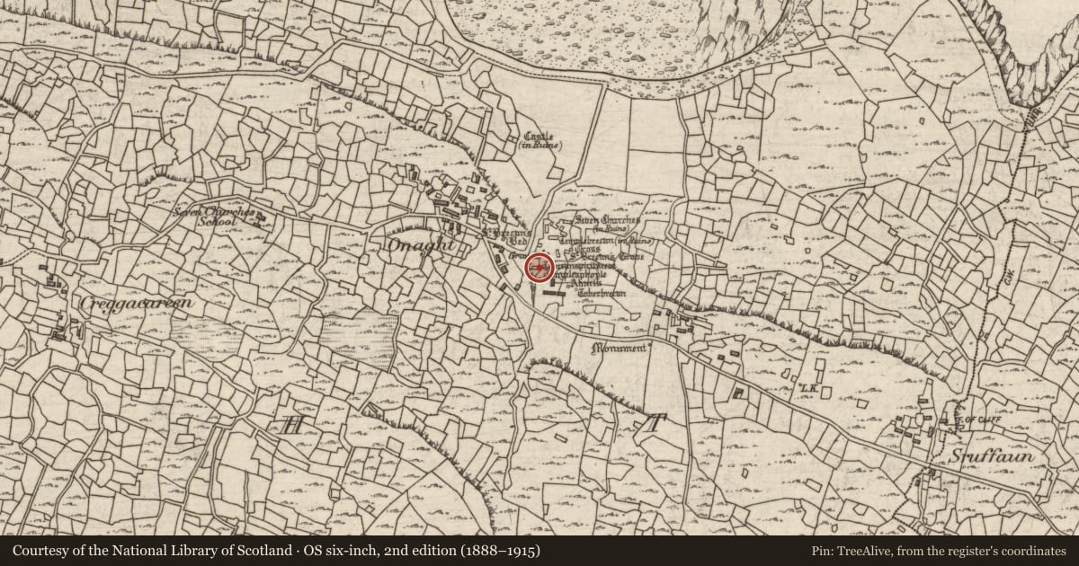 Ordnance Survey six-inch map, 2nd edition (1888–1915) covering the location of Leacht, Eoghanacht, County Galway, with a pin at the register's coordinates