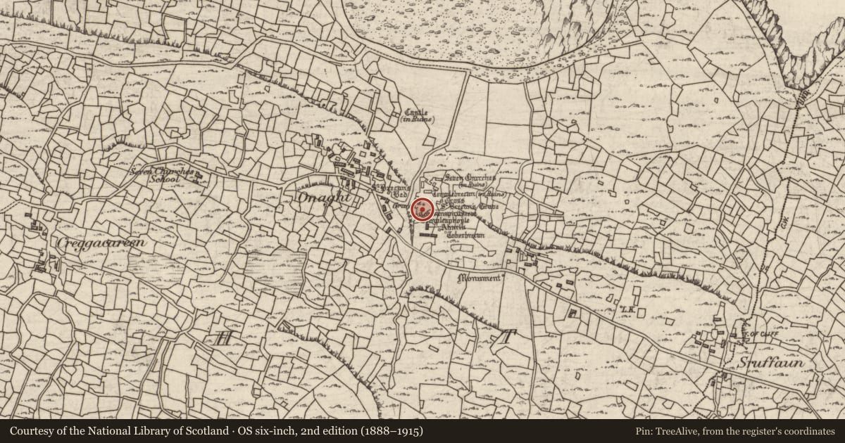 Ordnance Survey six-inch map, 2nd edition (1888–1915) covering the location of Ritual site - holy well, Eoghanacht, County Galway, with a pin at the register's coordinates