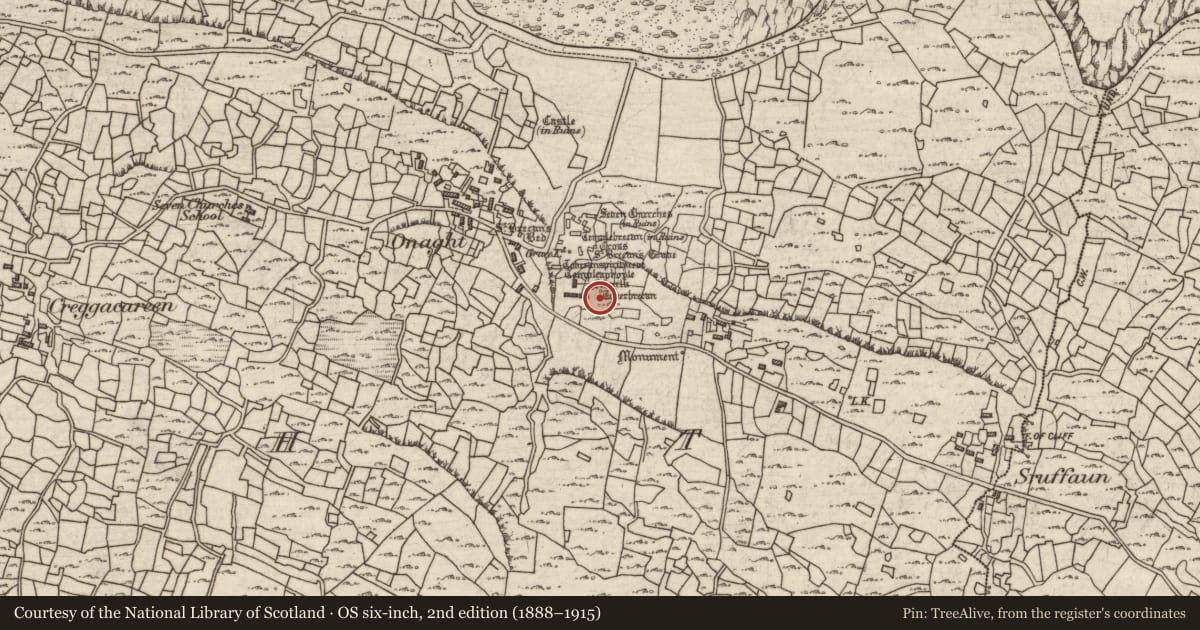 Ordnance Survey six-inch map, 2nd edition (1888–1915) covering the location of Ritual site - holy well, Eoghanacht, County Galway, with a pin at the register's coordinates