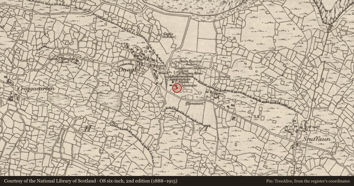 Ordnance Survey six-inch map, 2nd edition (1888–1915) covering the location of Cross - High cross, Eoghanacht, County Galway, with a pin at the register's coordinates