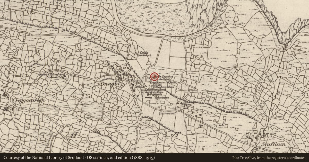 Ordnance Survey six-inch map, 2nd edition (1888–1915) covering the location of Cross - High cross, Eoghanacht, County Galway, with a pin at the register's coordinates