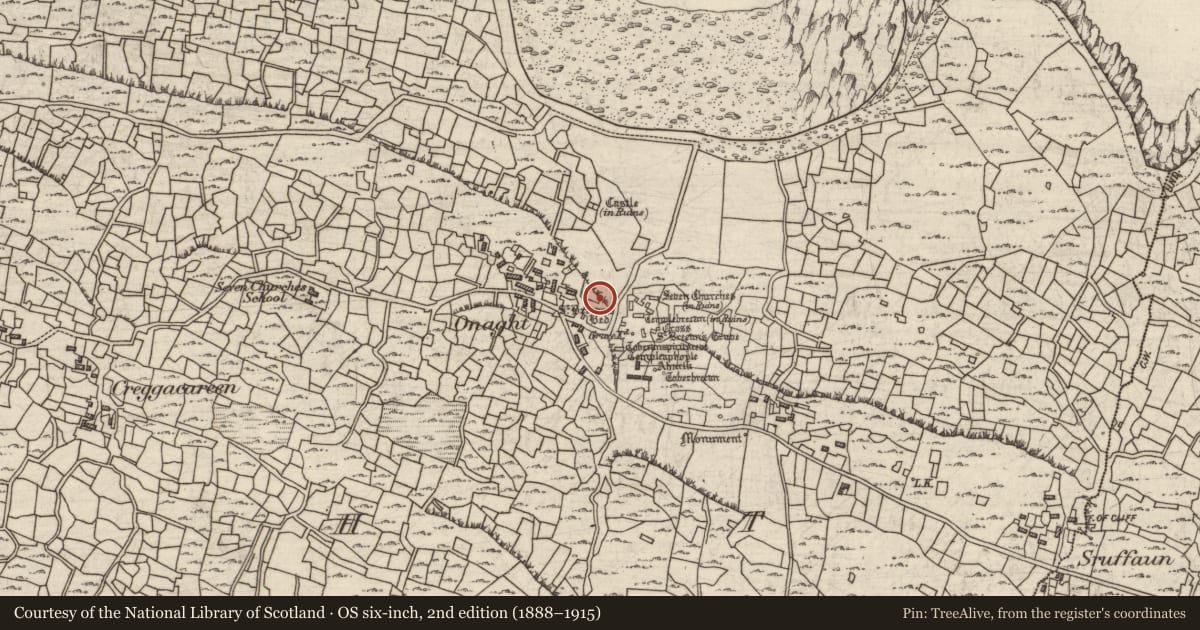 Ordnance Survey six-inch map, 2nd edition (1888–1915) covering the location of Standing stone, Eoghanacht, County Galway, with a pin at the register's coordinates