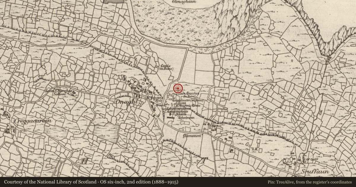 Ordnance Survey six-inch map, 2nd edition (1888–1915) covering the location of Pillar stone, Eoghanacht, County Galway, with a pin at the register's coordinates