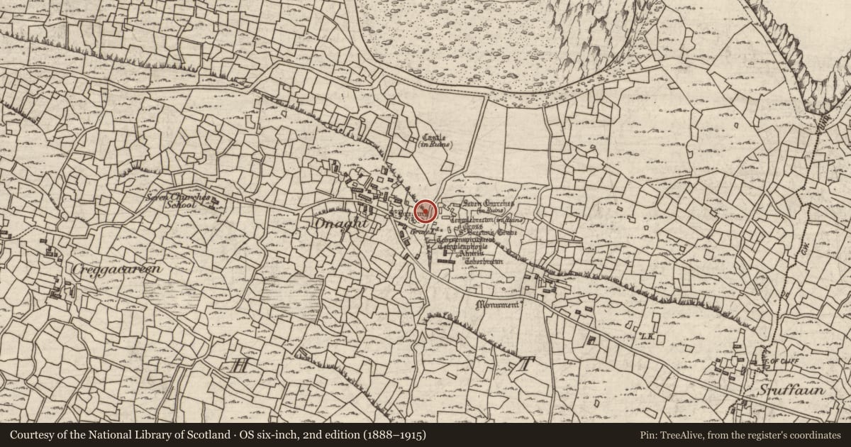 Ordnance Survey six-inch map, 2nd edition (1888–1915) covering the location of Structure, Eoghanacht, County Galway, with a pin at the register's coordinates