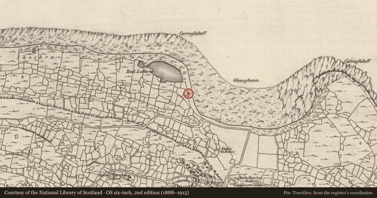 Ordnance Survey six-inch map, 2nd edition (1888–1915) covering the location of Kiln - kelp drying, Eoghanacht, County Galway, with a pin at the register's coordinates