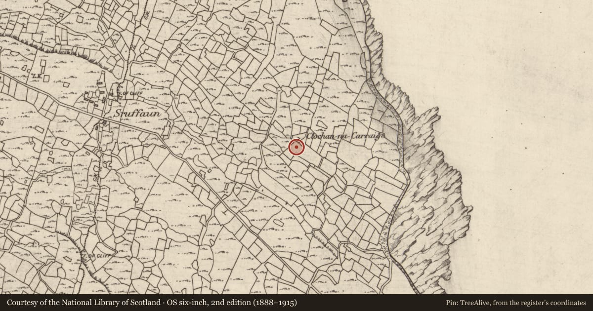 Ordnance Survey six-inch map, 2nd edition (1888–1915) covering the location of Clochan, Cill Mhuirbhigh, County Galway, with a pin at the register's coordinates