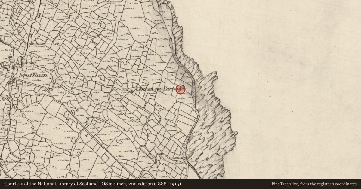 Ordnance Survey six-inch map, 2nd edition (1888–1915) covering the location of Factory, Cill Mhuirbhigh, County Galway, with a pin at the register's coordinates