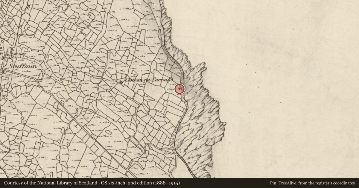Ordnance Survey six-inch map, 2nd edition (1888–1915) covering the location of Kiln - kelp drying, Cill Mhuirbhigh, County Galway, with a pin at the register's coordinates