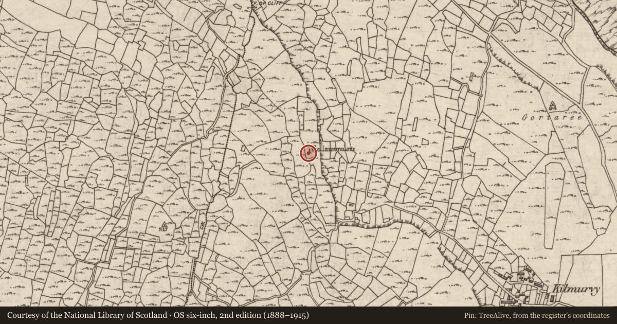 Ordnance Survey six-inch map, 2nd edition (1888–1915) covering the location of Ritual site - holy well, Cill Mhuirbhigh, County Galway, with a pin at the register's coordinates
