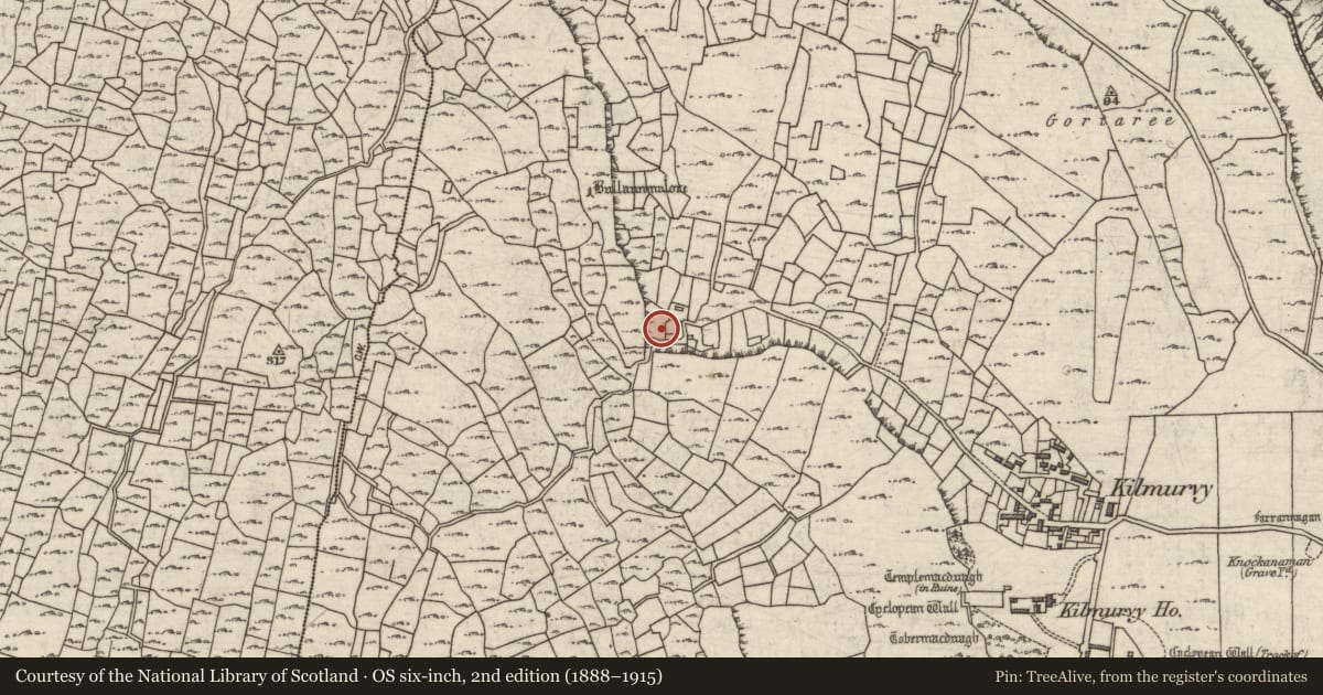 Ordnance Survey six-inch map, 2nd edition (1888–1915) covering the location of Bullaun stone, Cill Mhuirbhigh, County Galway, with a pin at the register's coordinates