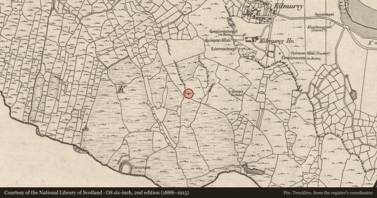 Ordnance Survey six-inch map, 2nd edition (1888–1915) covering the location of Mound, Cill Mhuirbhigh, County Galway, with a pin at the register's coordinates