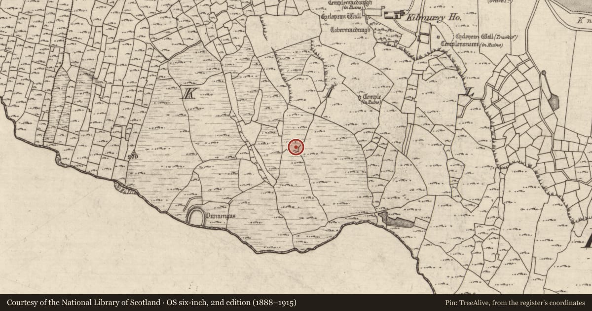Ordnance Survey six-inch map, 2nd edition (1888–1915) covering the location of Mound, Cill Mhuirbhigh, County Galway, with a pin at the register's coordinates