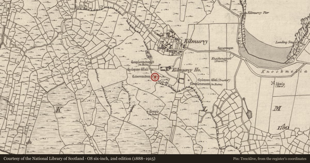 Ordnance Survey six-inch map, 2nd edition (1888–1915) covering the location of Ritual site - holy well, Cill Mhuirbhigh, County Galway, with a pin at the register's coordinates
