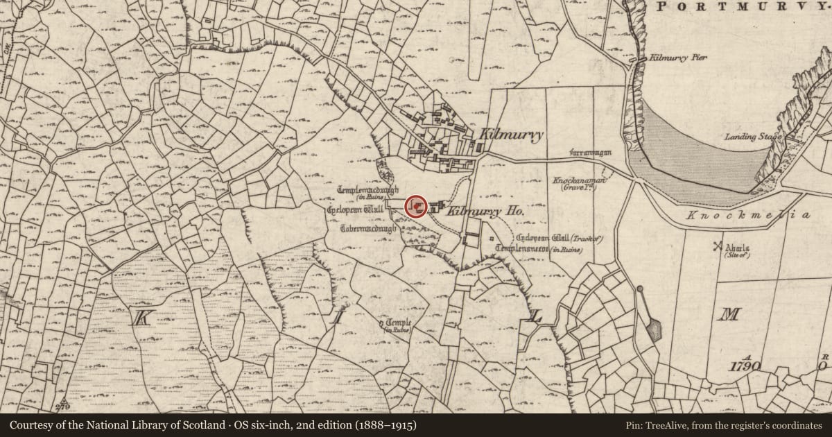 Ordnance Survey six-inch map, 2nd edition (1888–1915) covering the location of Cross-inscribed pillar, Cill Mhuirbhigh, County Galway, with a pin at the register's coordinates