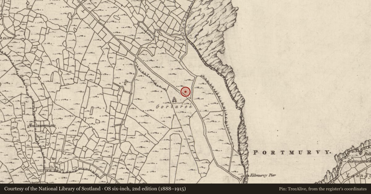 Ordnance Survey six-inch map, 2nd edition (1888–1915) covering the location of Cairn - wayside cairn, Cill Mhuirbhigh, County Galway, with a pin at the register's coordinates