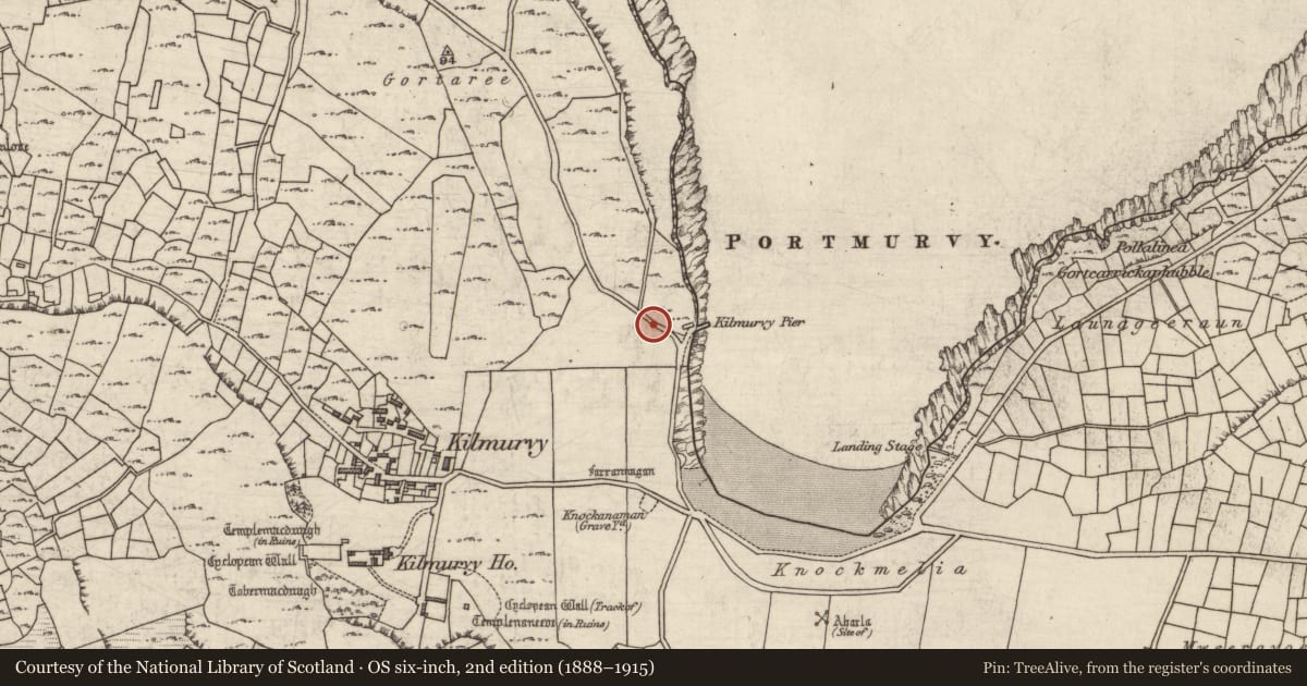 Ordnance Survey six-inch map, 2nd edition (1888–1915) covering the location of Leacht cuimhne, Cill Mhuirbhigh, County Galway, with a pin at the register's coordinates