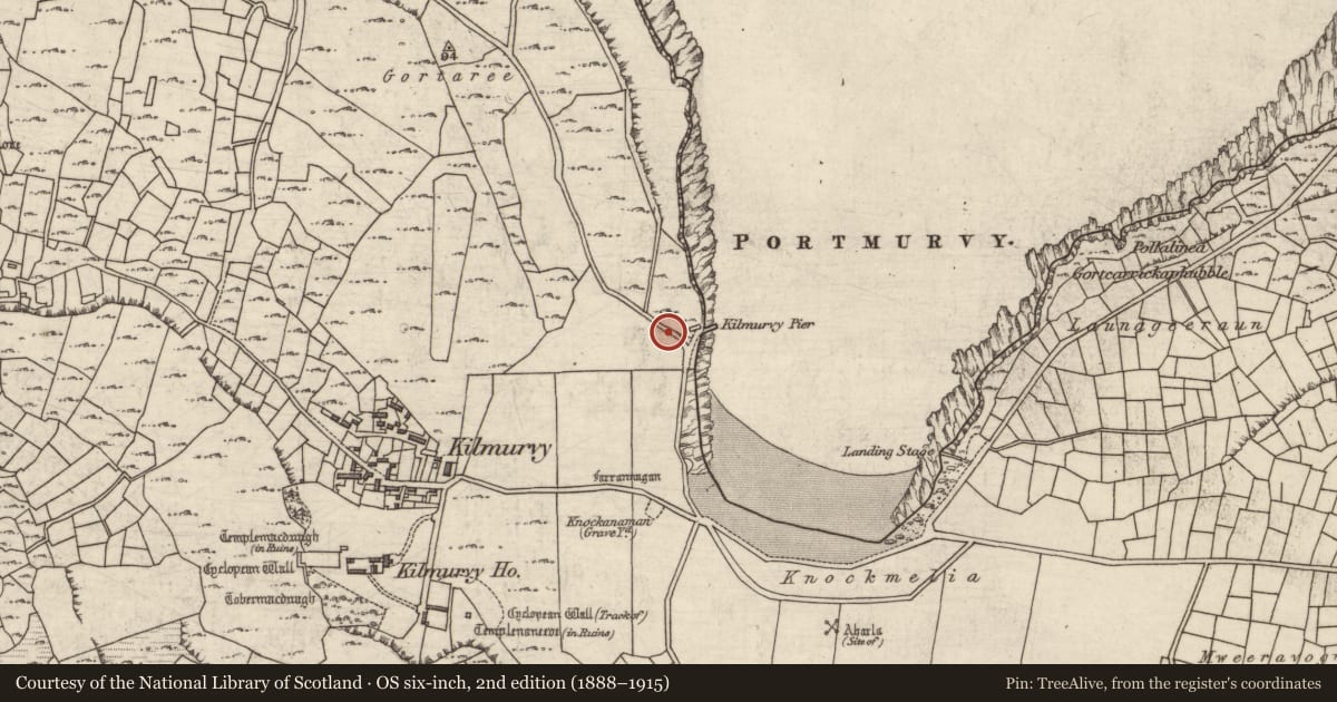 Ordnance Survey six-inch map, 2nd edition (1888–1915) covering the location of Leacht cuimhne, Cill Mhuirbhigh, County Galway, with a pin at the register's coordinates