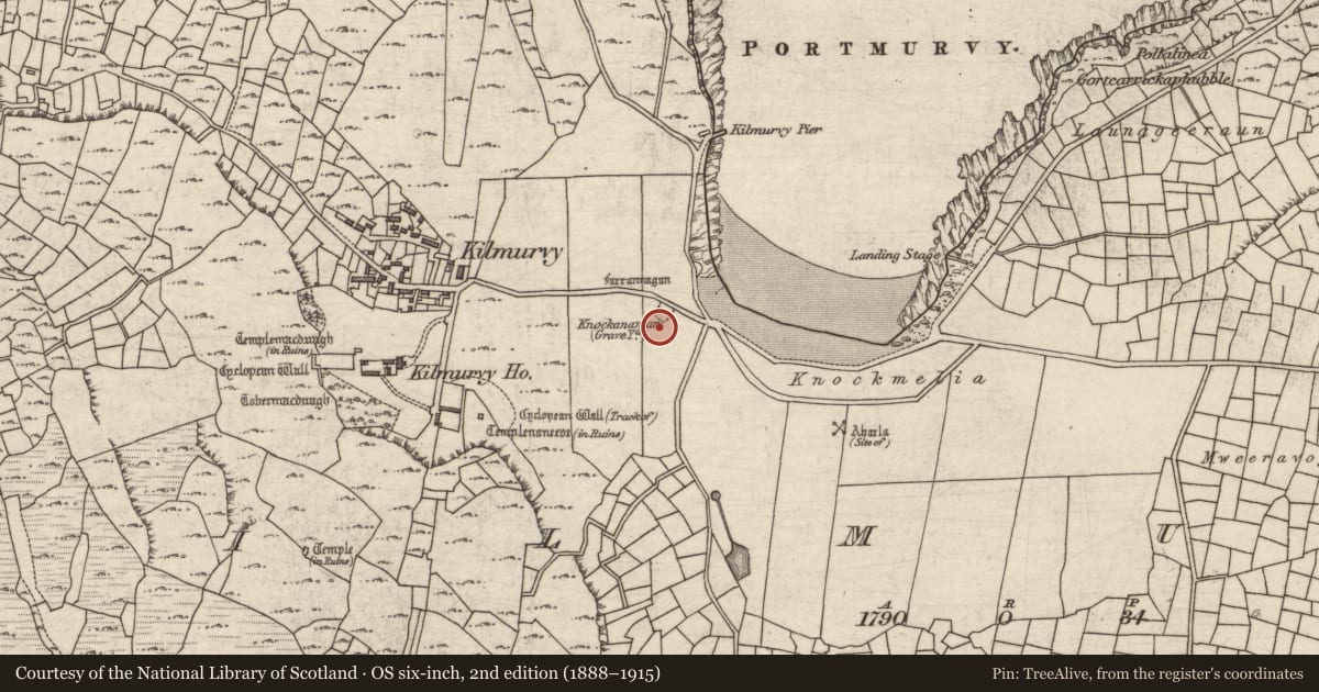 Ordnance Survey six-inch map, 2nd edition (1888–1915) covering the location of Graveyard, Cill Mhuirbhigh, County Galway, with a pin at the register's coordinates