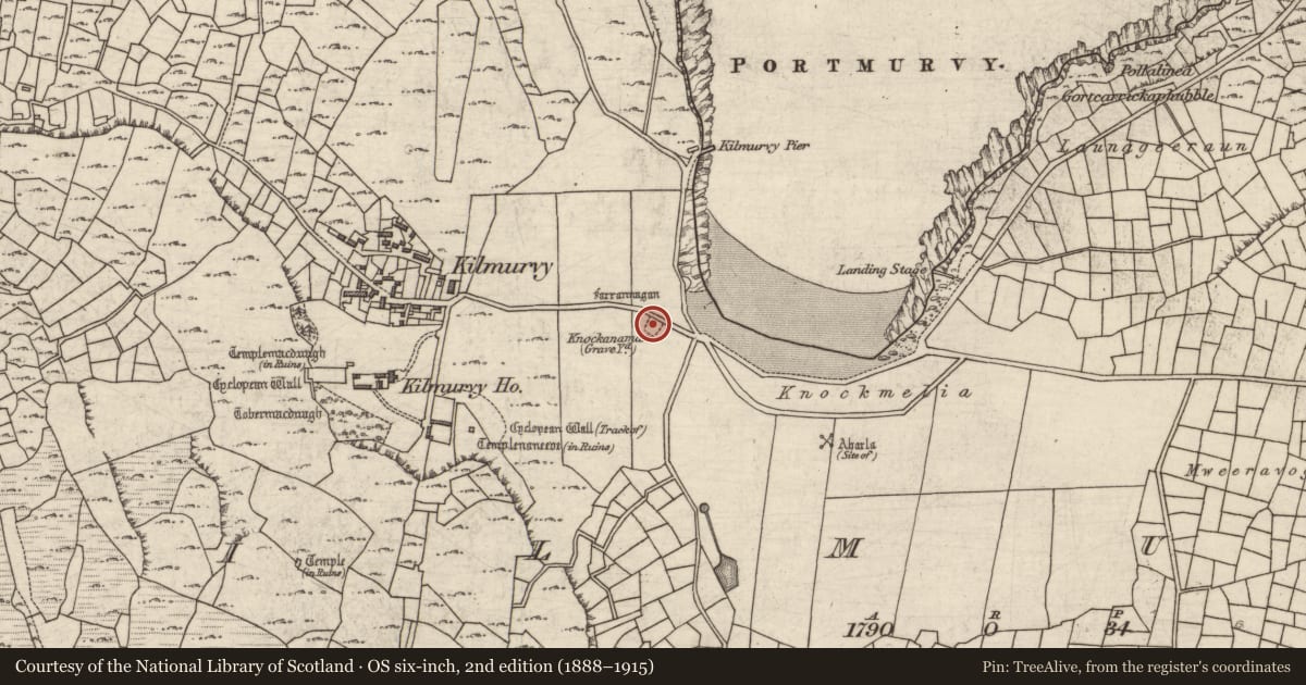Ordnance Survey six-inch map, 2nd edition (1888–1915) covering the location of Burial, Cill Mhuirbhigh, County Galway, with a pin at the register's coordinates