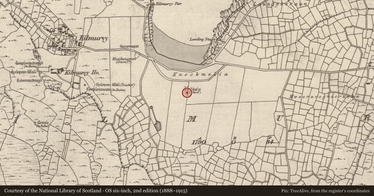 Ordnance Survey six-inch map, 2nd edition (1888–1915) covering the location of Cross-slab, Cill Mhuirbhigh, County Galway, with a pin at the register's coordinates