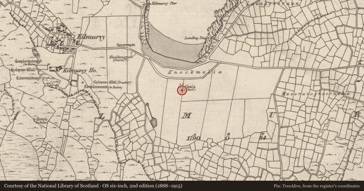 Ordnance Survey six-inch map, 2nd edition (1888–1915) covering the location of Church, Cill Mhuirbhigh, County Galway, with a pin at the register's coordinates