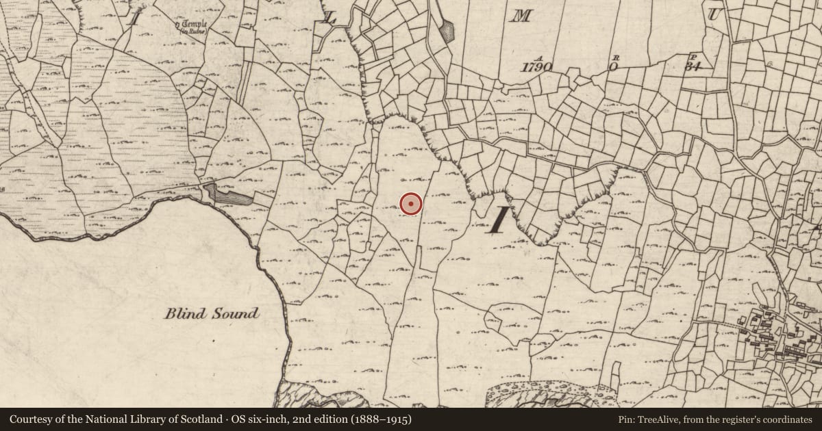 Ordnance Survey six-inch map, 2nd edition (1888–1915) covering the location of Graveslab, Cill Mhuirbhigh, County Galway, with a pin at the register's coordinates