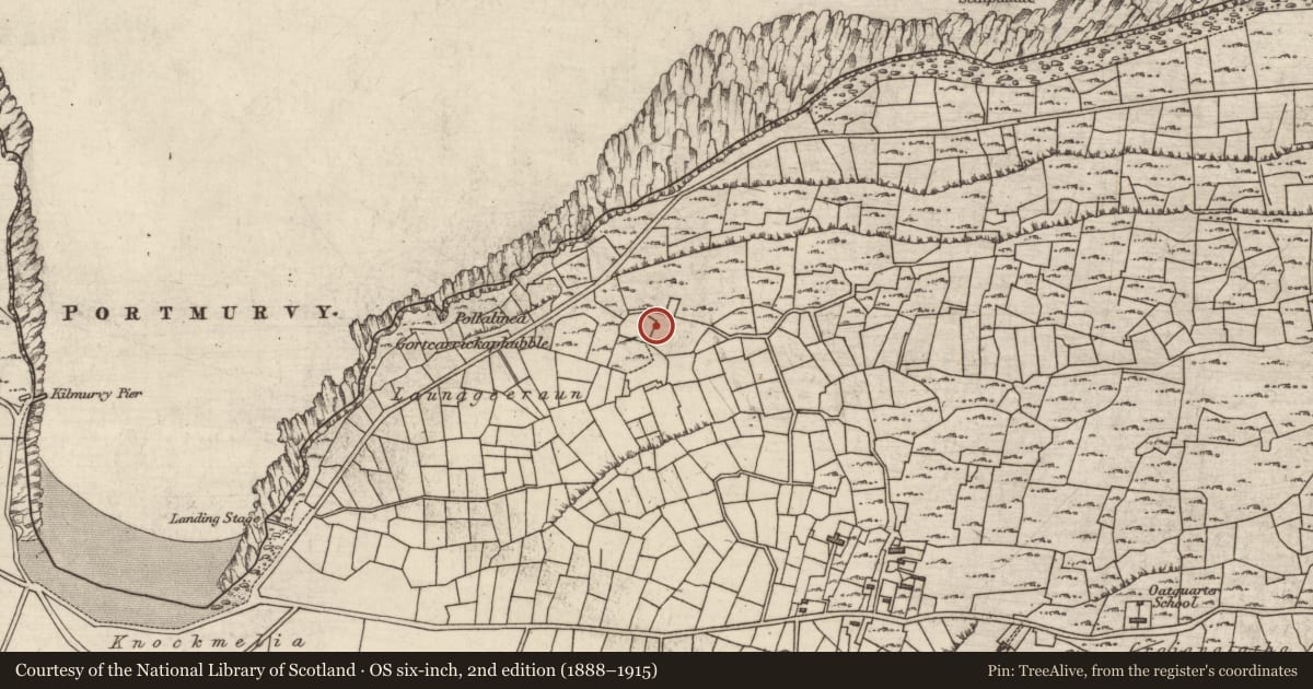Ordnance Survey six-inch map, 2nd edition (1888–1915) covering the location of Burial, Cill Mhuirbhigh, County Galway, with a pin at the register's coordinates