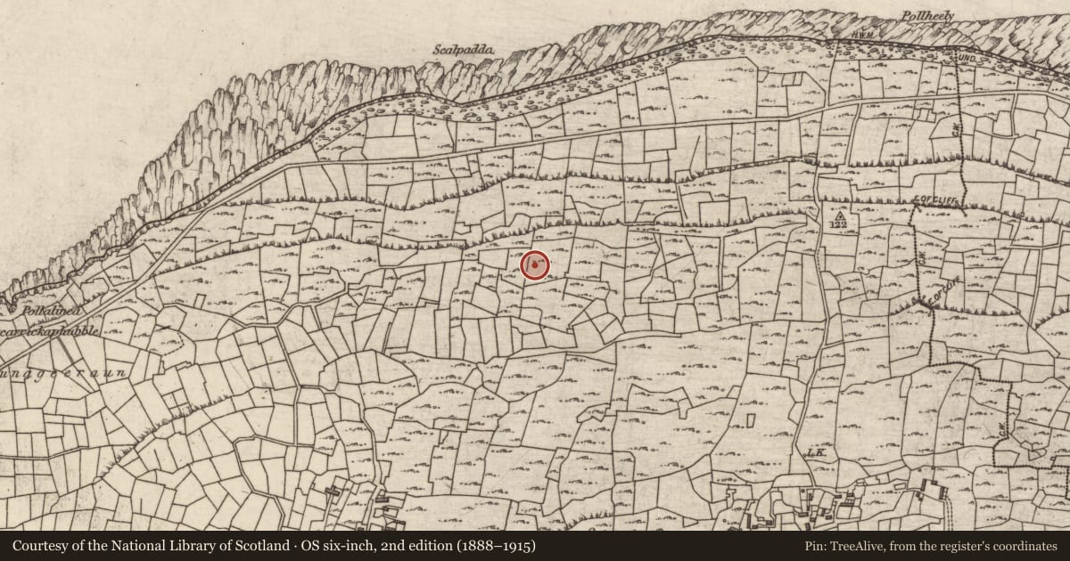 Ordnance Survey six-inch map, 2nd edition (1888–1915) covering the location of Hut site, Cill Mhuirbhigh, County Galway, with a pin at the register's coordinates