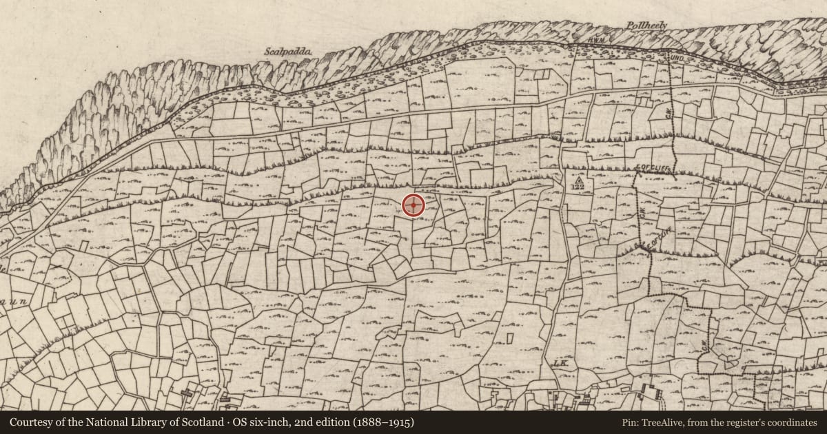 Ordnance Survey six-inch map, 2nd edition (1888–1915) covering the location of Megalithic tomb - wedge tomb, Cill Mhuirbhigh, County Galway, with a pin at the register's coordinates