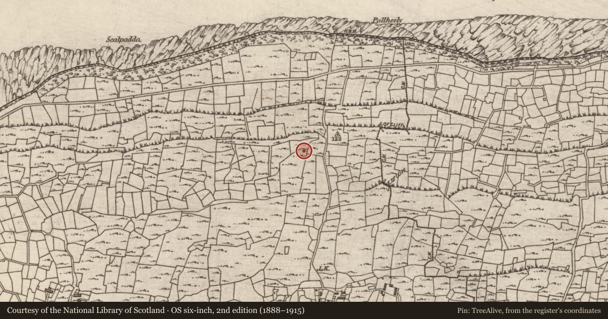 Ordnance Survey six-inch map, 2nd edition (1888–1915) covering the location of Hut site, Cill Mhuirbhigh, County Galway, with a pin at the register's coordinates