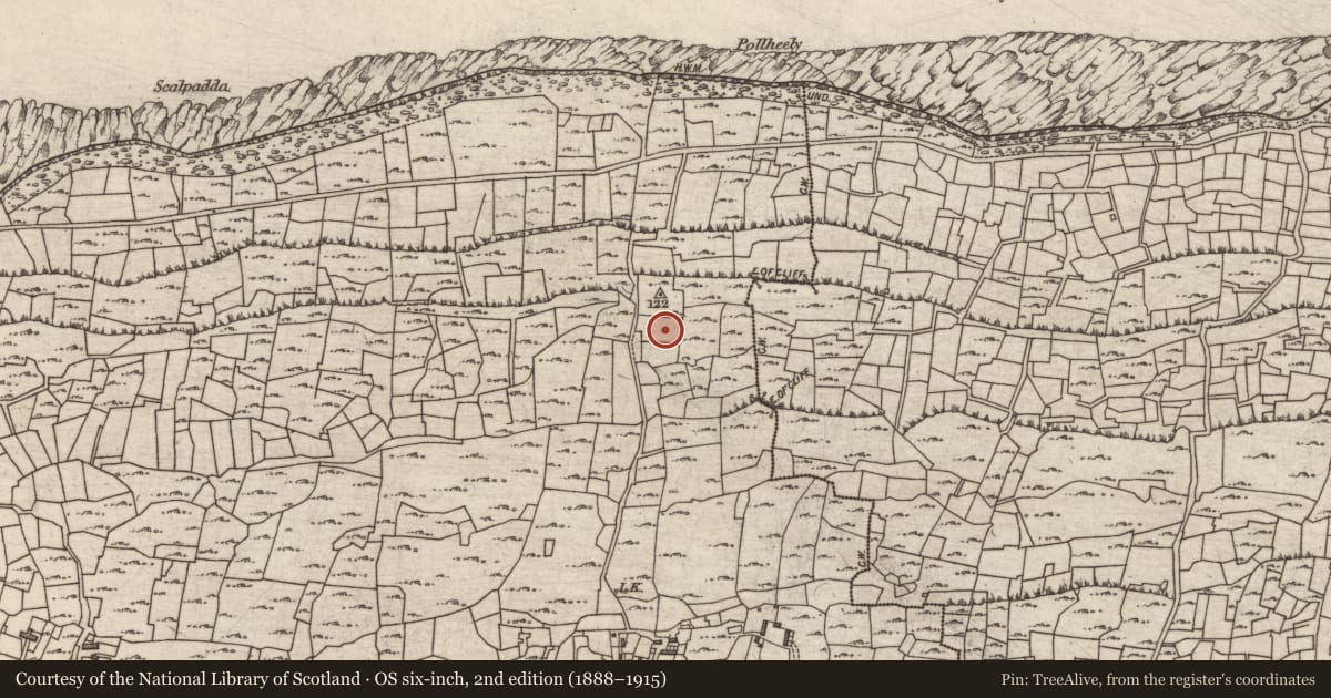Ordnance Survey six-inch map, 2nd edition (1888–1915) covering the location of Hut site, Cill Mhuirbhigh, County Galway, with a pin at the register's coordinates