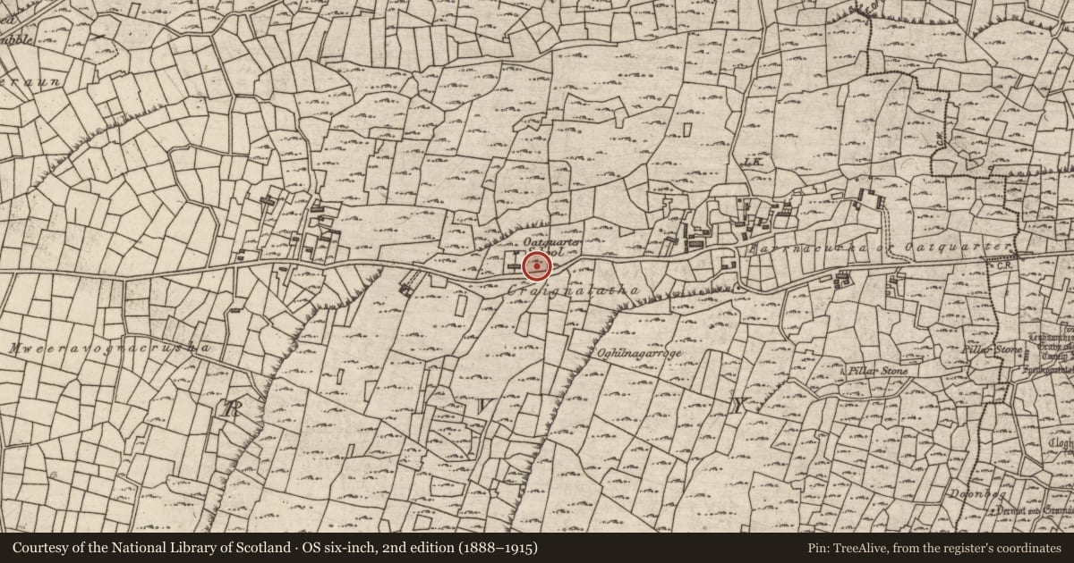Ordnance Survey six-inch map, 2nd edition (1888–1915) covering the location of Cairn - wayside cairn, Cill Mhuirbhigh, County Galway, with a pin at the register's coordinates