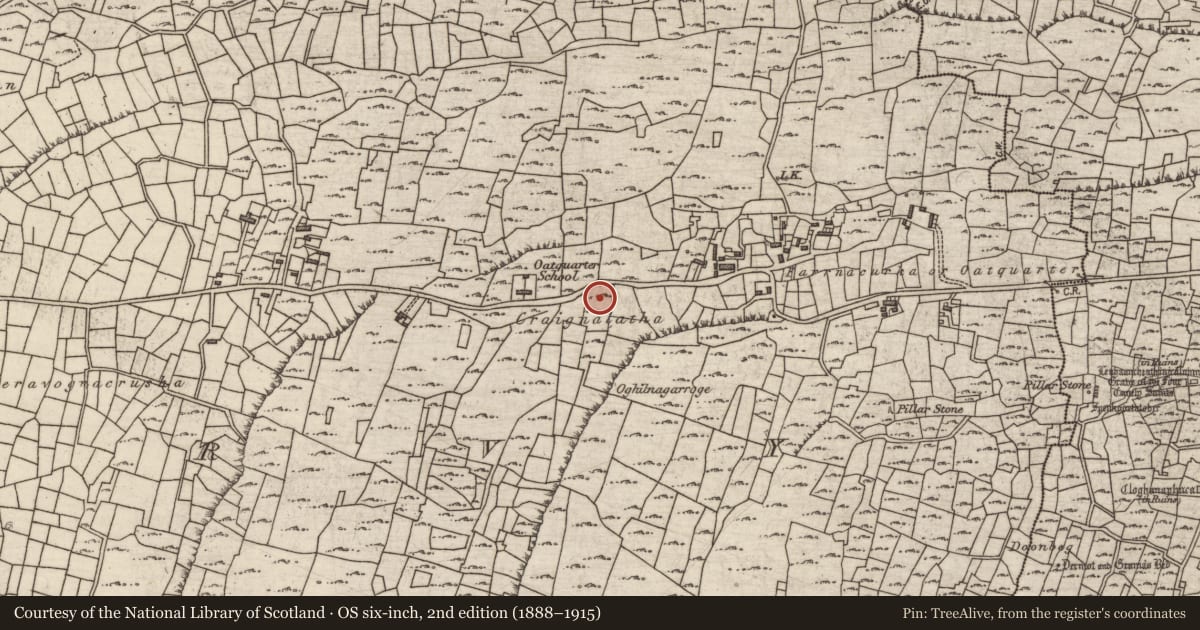 Ordnance Survey six-inch map, 2nd edition (1888–1915) covering the location of Kiln - lime, Cill Mhuirbhigh, County Galway, with a pin at the register's coordinates