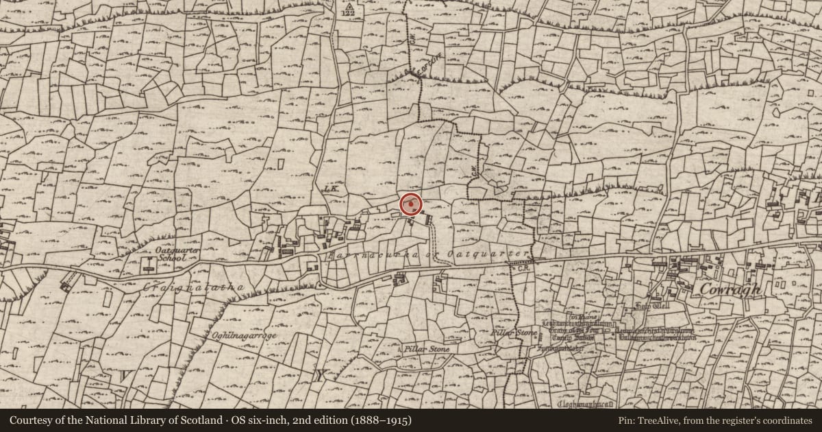 Ordnance Survey six-inch map, 2nd edition (1888–1915) covering the location of Kiln - lime, Cill Mhuirbhigh, County Galway, with a pin at the register's coordinates