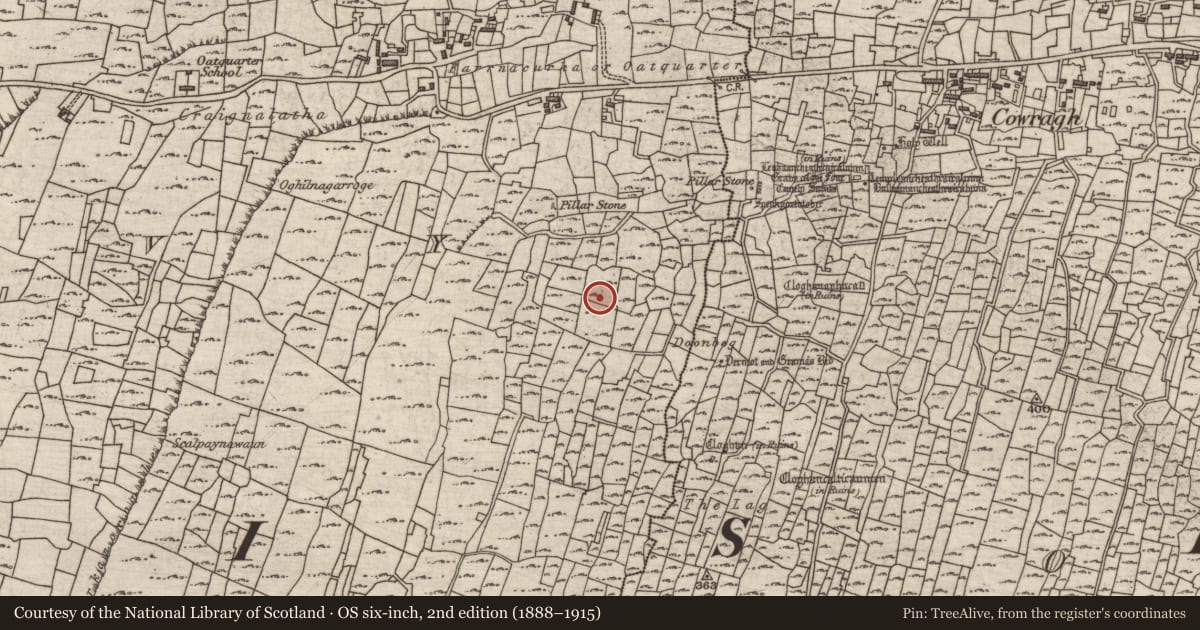 Ordnance Survey six-inch map, 2nd edition (1888–1915) covering the location of Clochan, Cill Mhuirbhigh, County Galway, with a pin at the register's coordinates