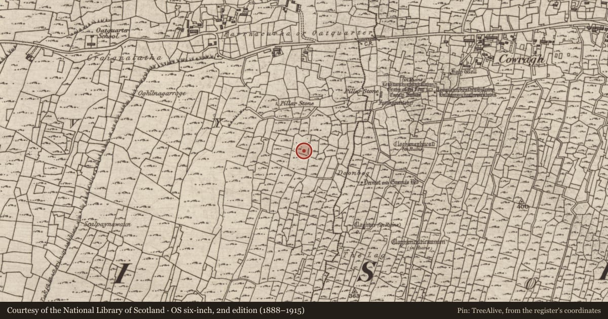 Ordnance Survey six-inch map, 2nd edition (1888–1915) covering the location of Bullaun stone, Cill Mhuirbhigh, County Galway, with a pin at the register's coordinates