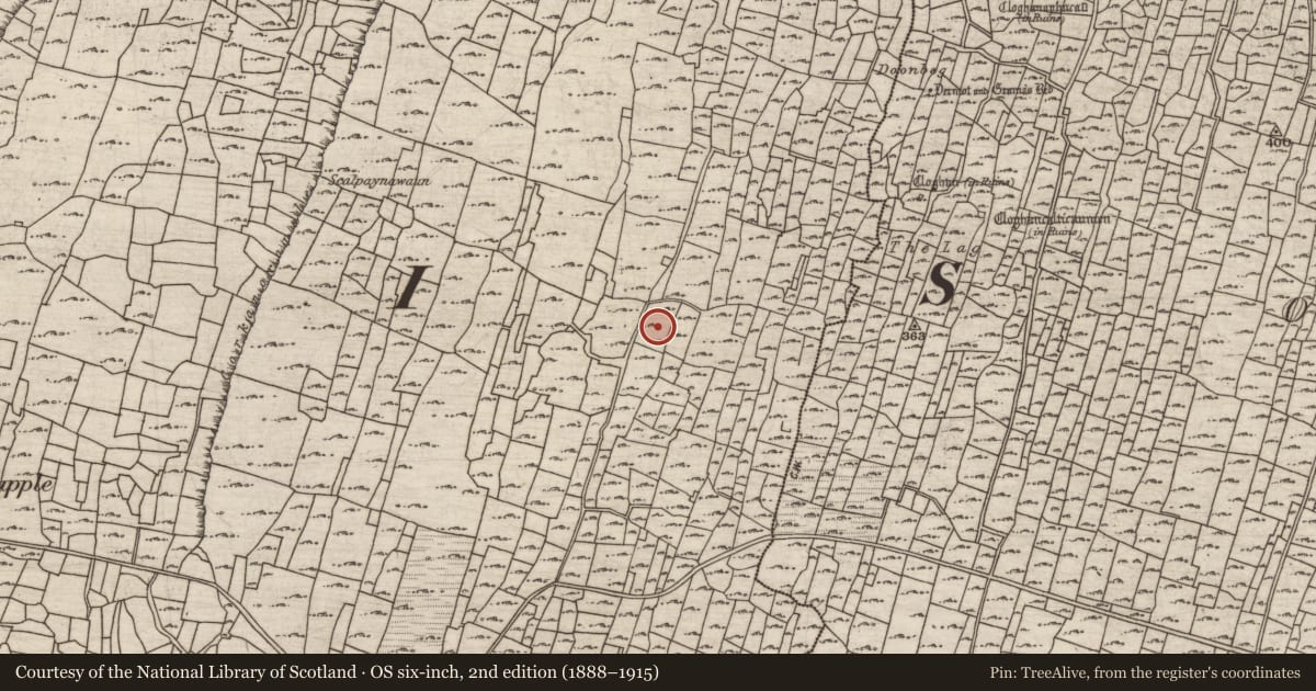 Ordnance Survey six-inch map, 2nd edition (1888–1915) covering the location of Clochan, Cill Mhuirbhigh, County Galway, with a pin at the register's coordinates